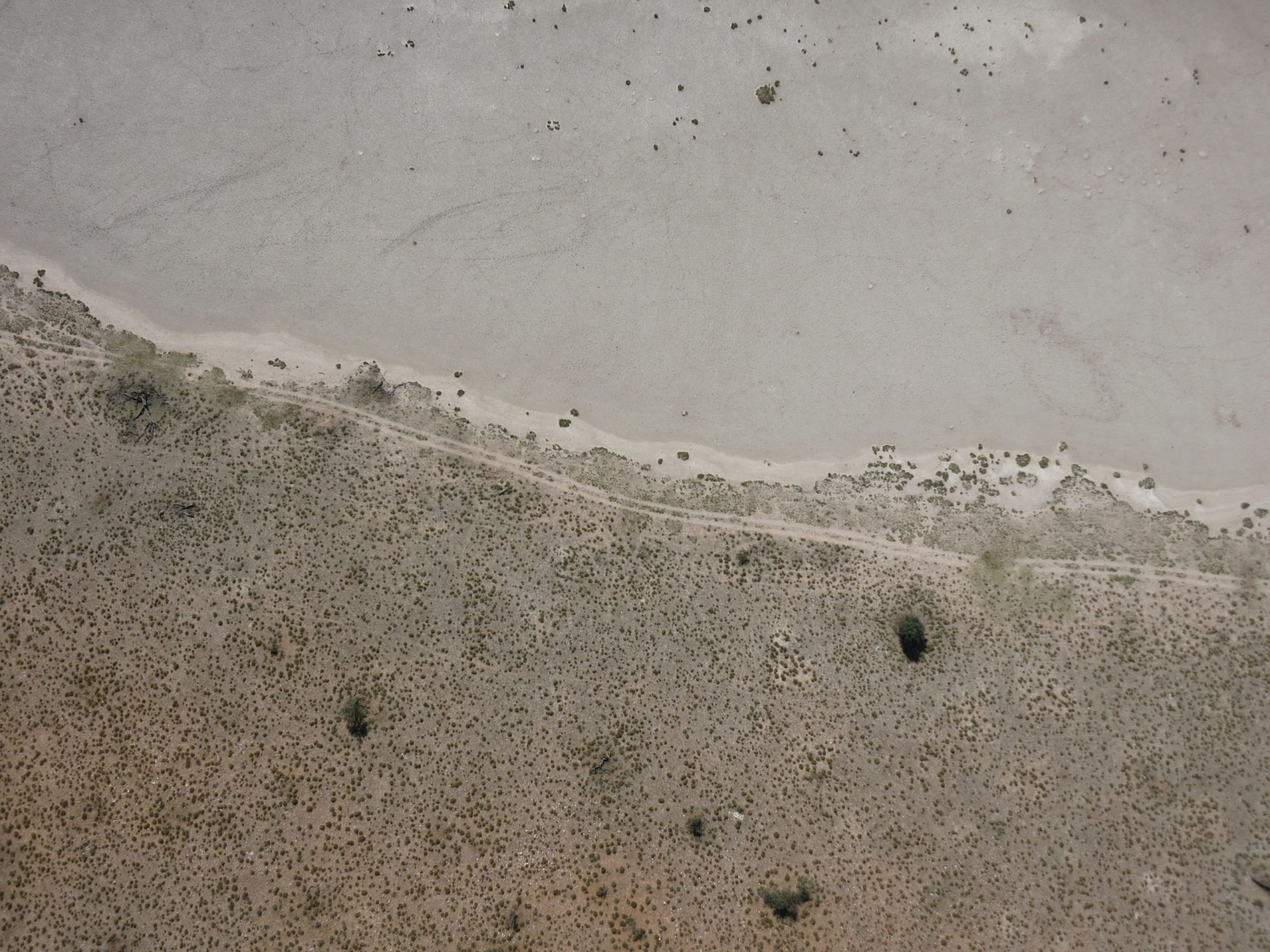 Classifying Namibia’s savanna Turning drone imagery into vegetation base maps Drones For Earth